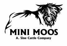Mini Moos
